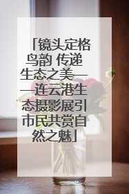 镜头定格鸟韵 传递生态之美——连云港生态摄影展引市民共赏自然之魅